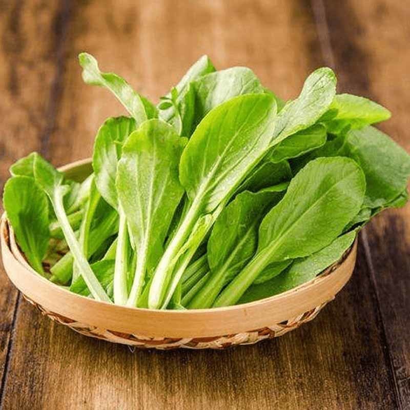 常州食材批发